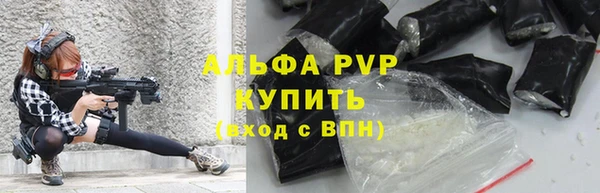 винт Абаза