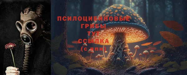 соль ск Абинск