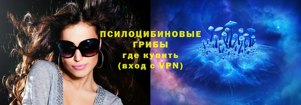 дживик Осташков
