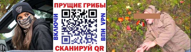 продажа наркотиков  Александров  Псилоцибиновые грибы Cubensis 